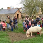 Sortie dans une ferme pédagogique pendant les vacances d'automne 2017